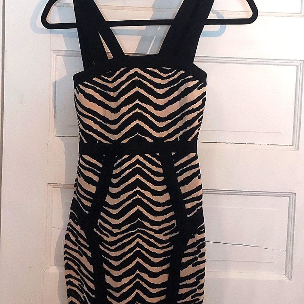 Forever21 Zebra Print dress